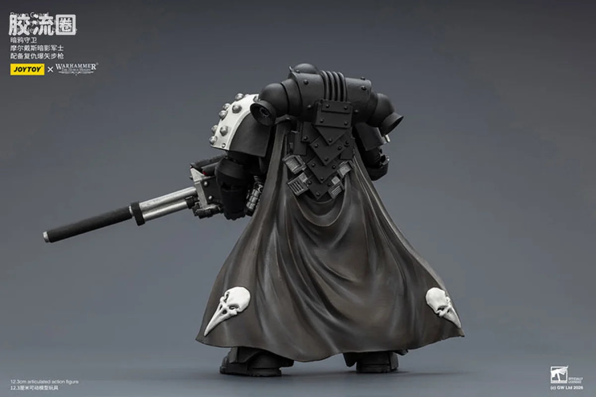JoyToy Raven Guard Mor Deythan Shade With Nemesis Bolt Rifle
