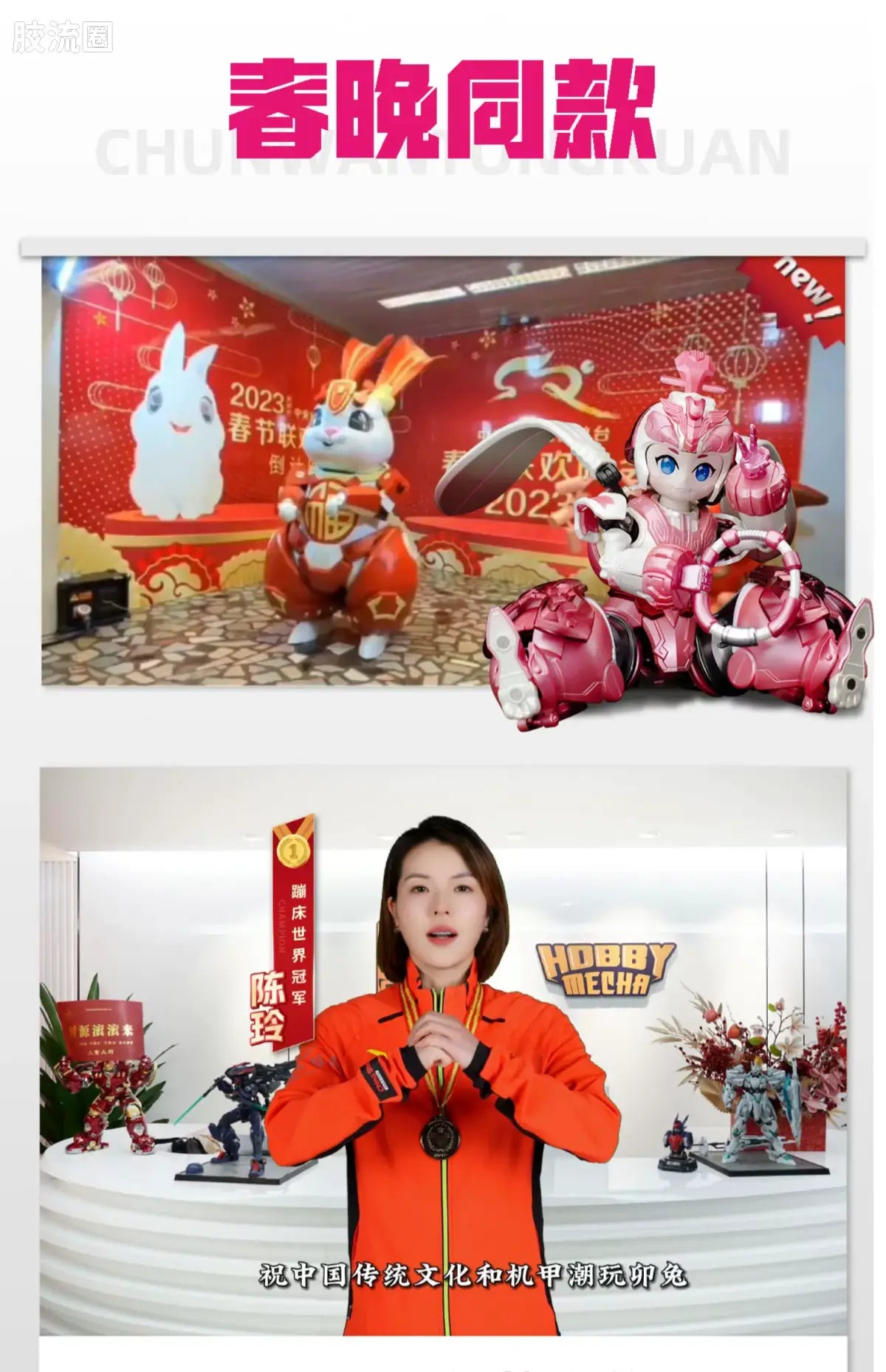 Moshow HobbyMecha Rabbit Articulate