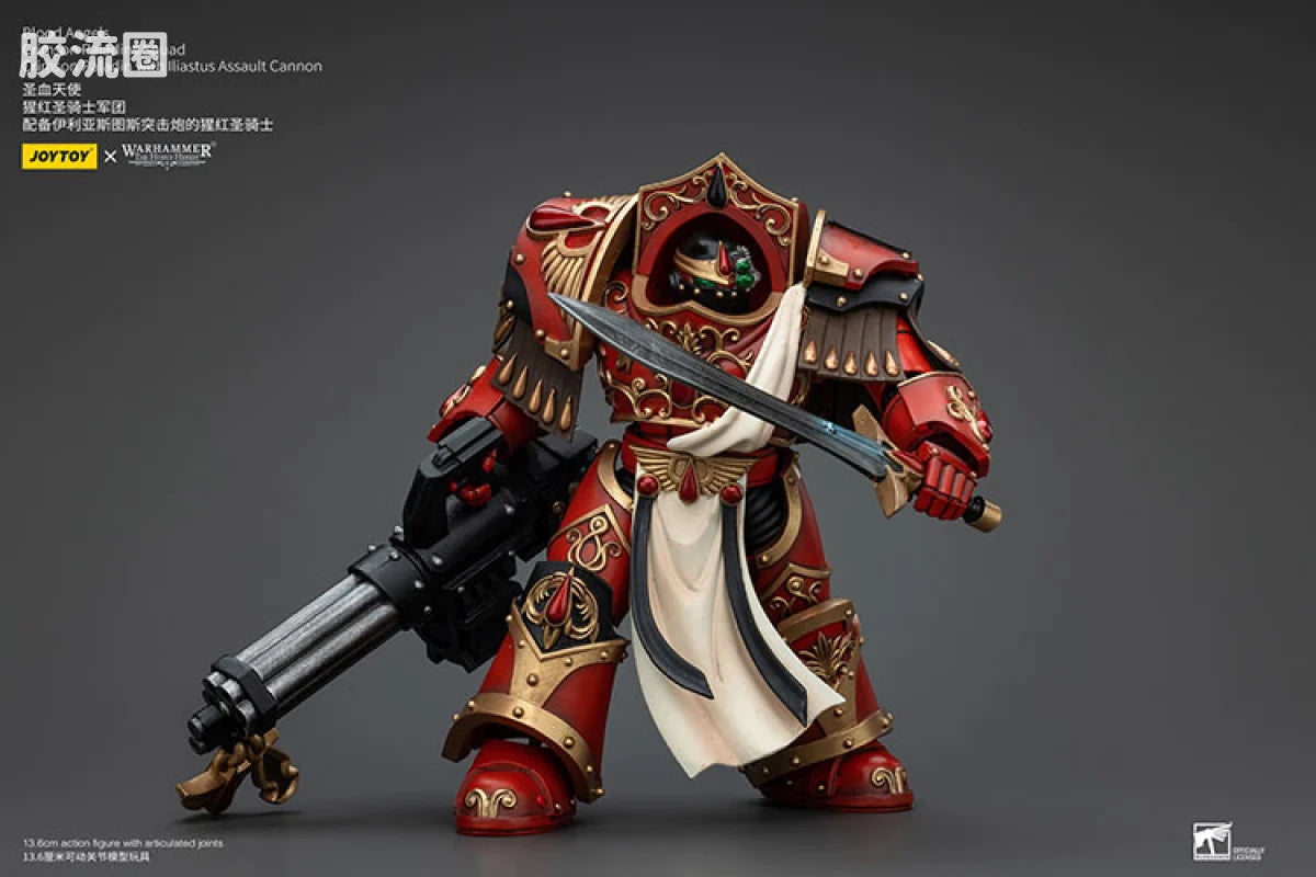 JoyToy Blood Angels Crimson Paladins Squad