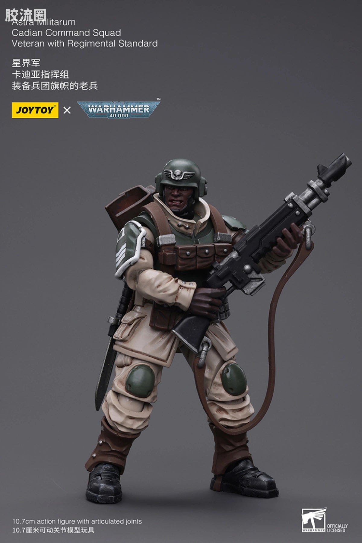 JoyToy Astra Militarum Cadian Command Squad Veteran With Regimental Standard