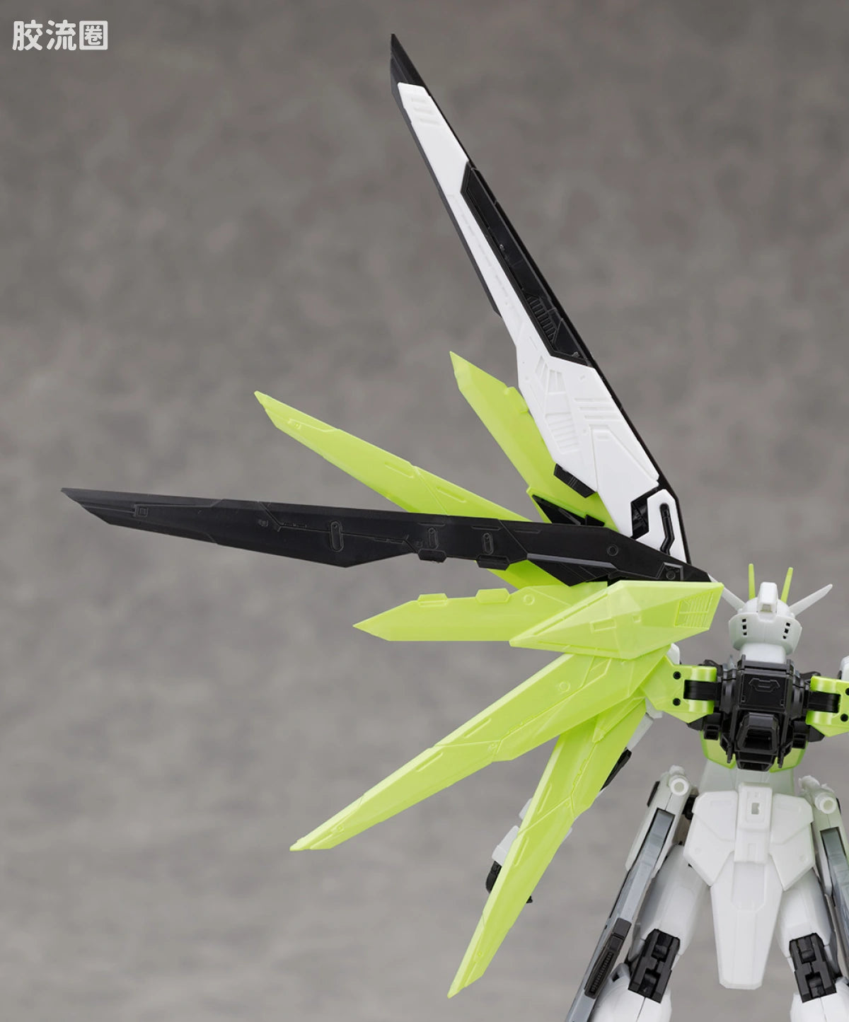 RG 1/144 Freedom Gundam [APEX LEGENDS Crypto Ver.]