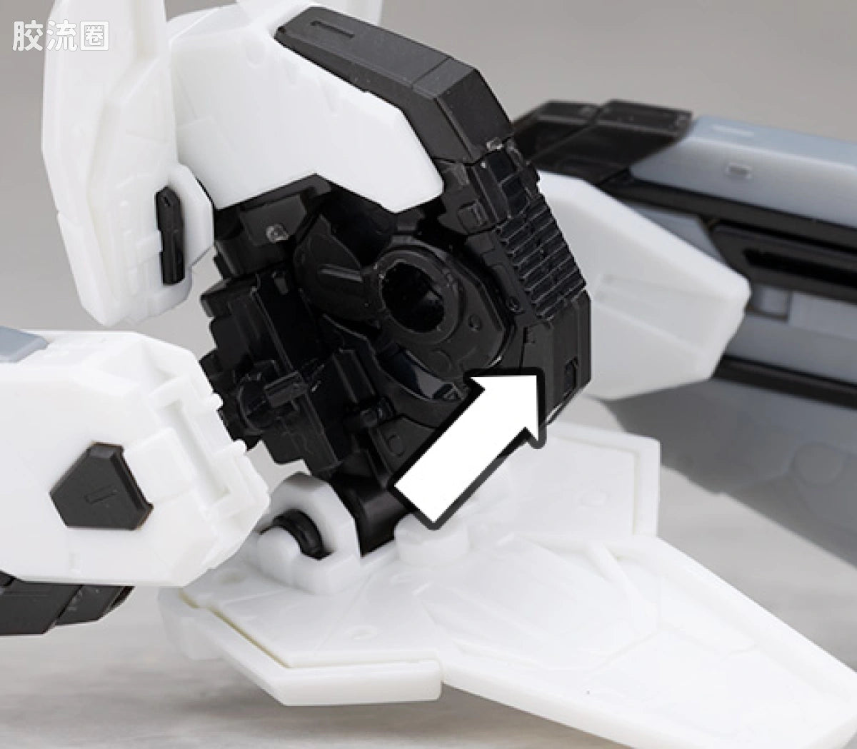RG 1/144 Freedom Gundam [APEX LEGENDS Crypto Ver.]