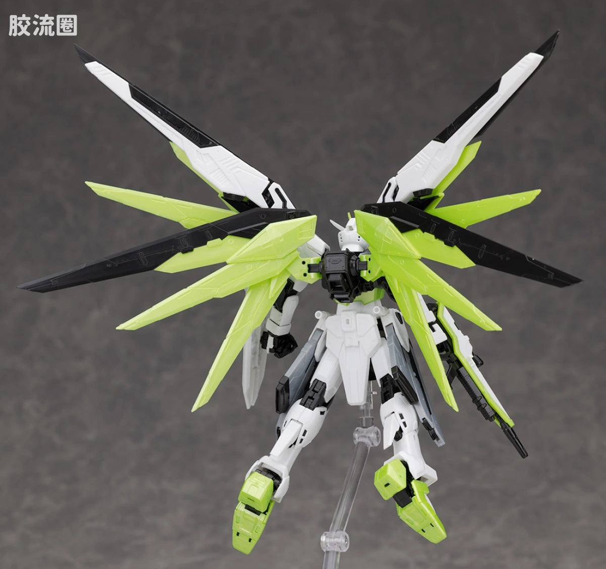 RG 1/144 Freedom Gundam [APEX LEGENDS Crypto Ver.]