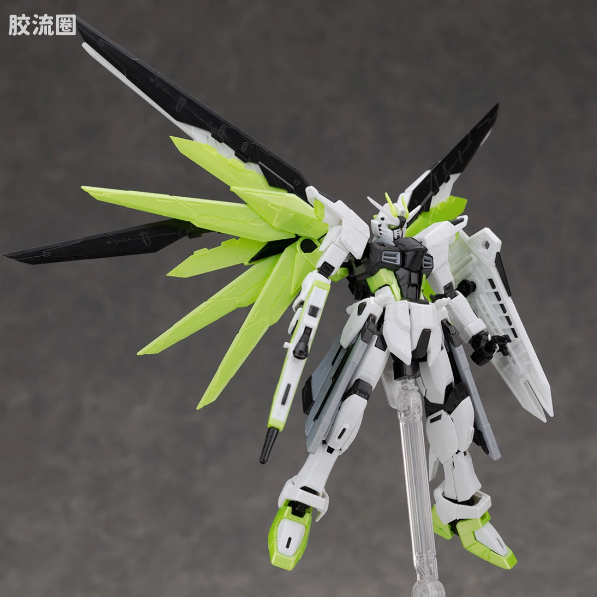RG 1/144 Freedom Gundam [APEX LEGENDS Crypto Ver.]