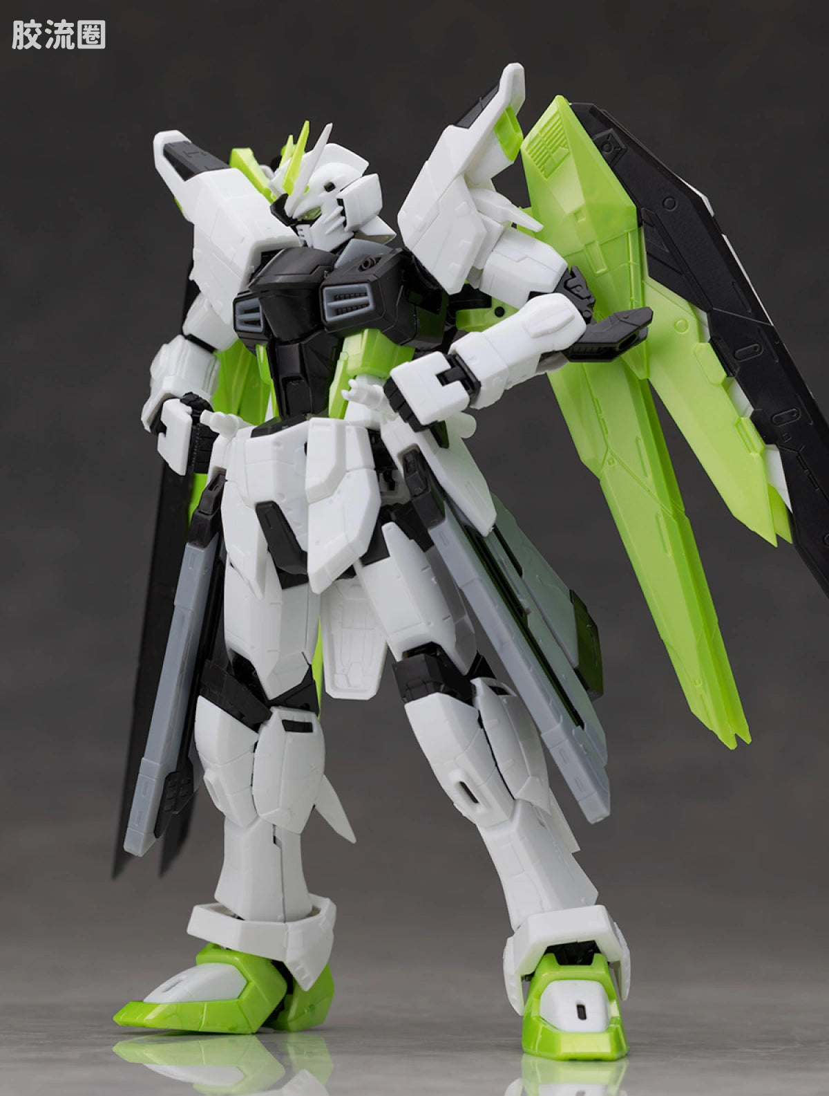RG 1/144 Freedom Gundam [APEX LEGENDS Crypto Ver.]