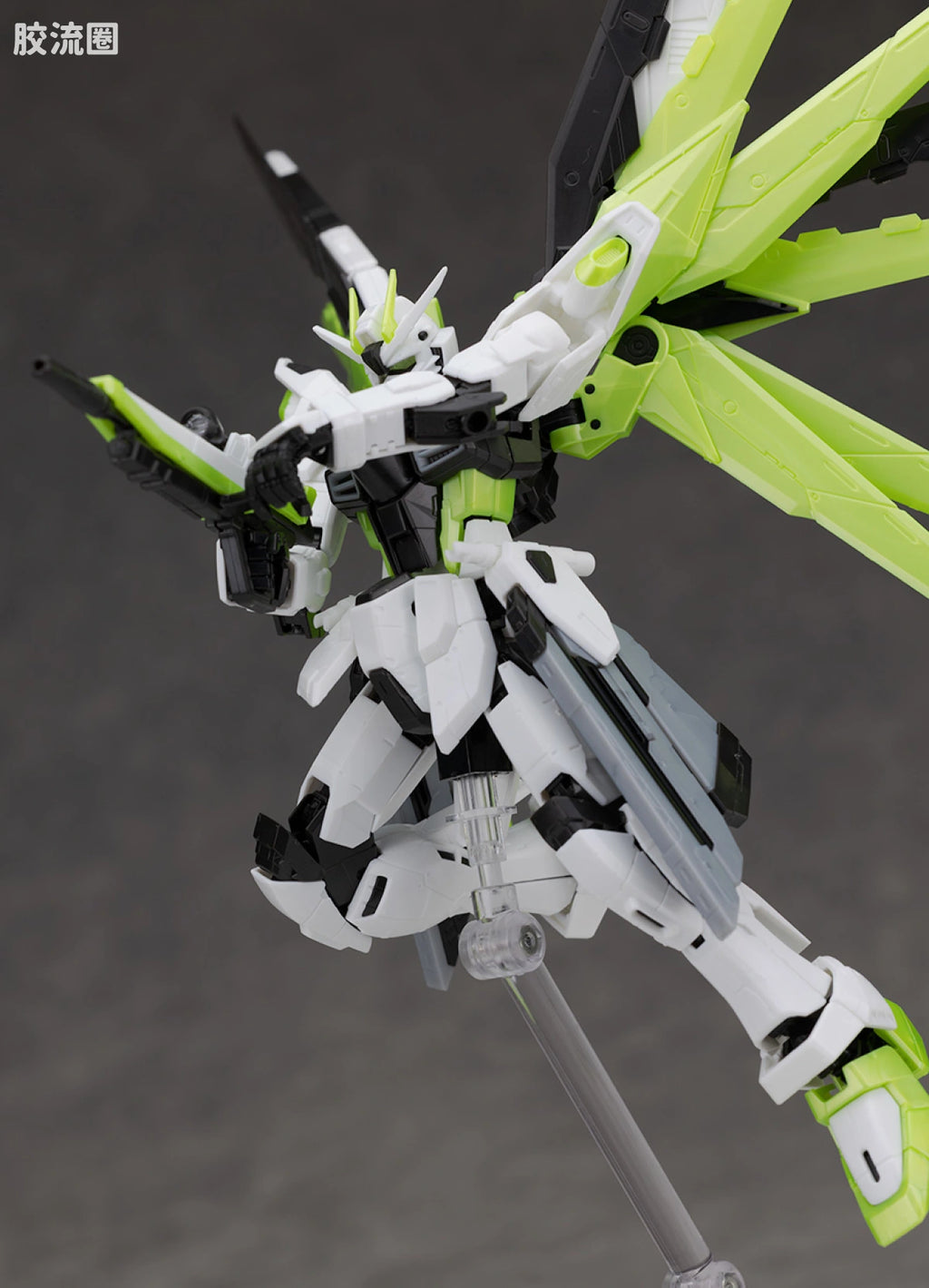 RG 1/144 Freedom Gundam [APEX LEGENDS Crypto Ver.]