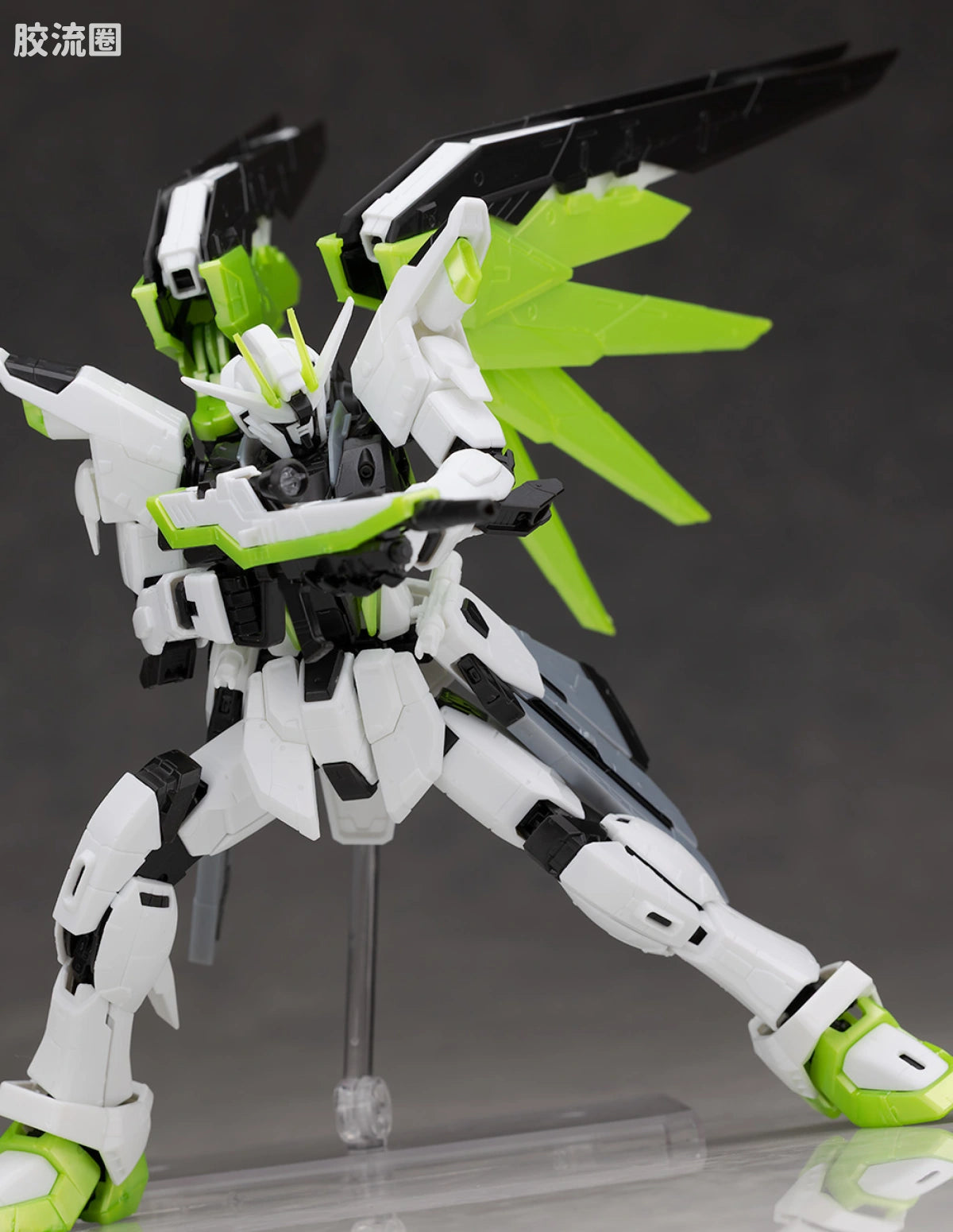 RG 1/144 Freedom Gundam [APEX LEGENDS Crypto Ver.]