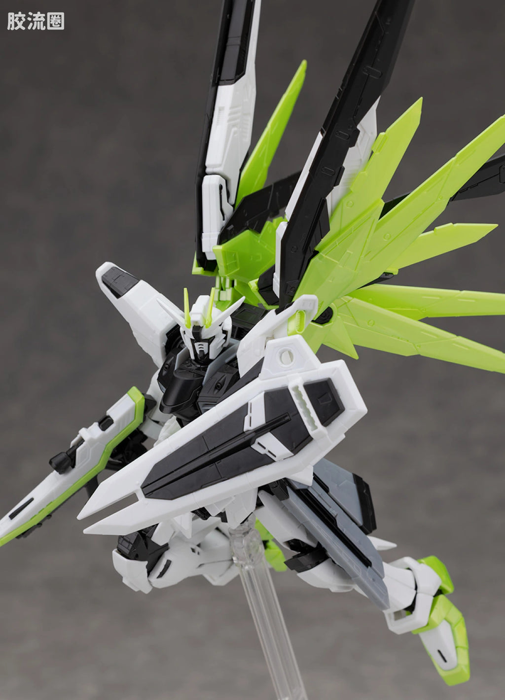 RG 1/144 Freedom Gundam [APEX LEGENDS Crypto Ver.]
