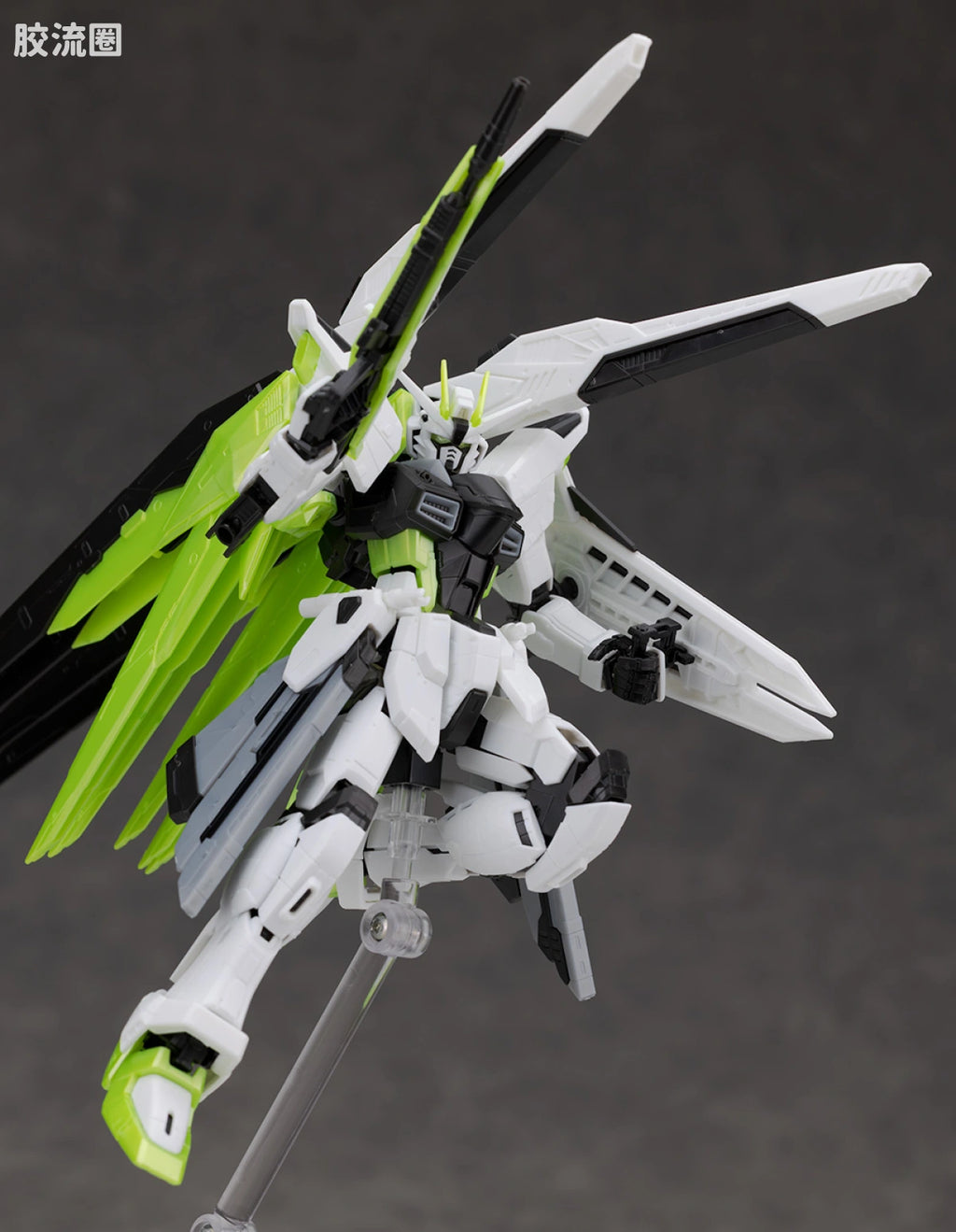 RG 1/144 Freedom Gundam [APEX LEGENDS Crypto Ver.]