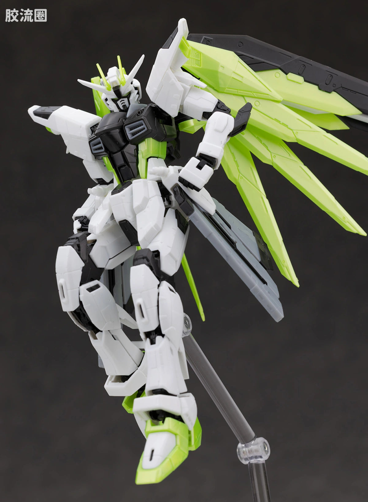 RG 1/144 Freedom Gundam [APEX LEGENDS Crypto Ver.]