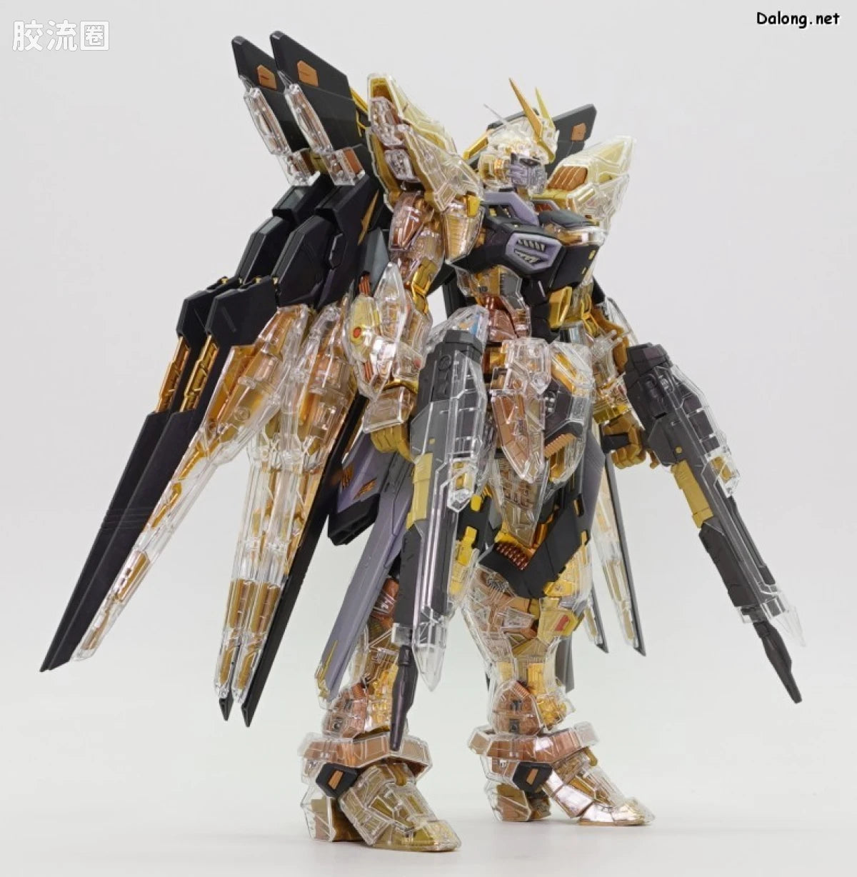 MGEX 1/100 Strike Freedom Gundam [Mechanical Clear]