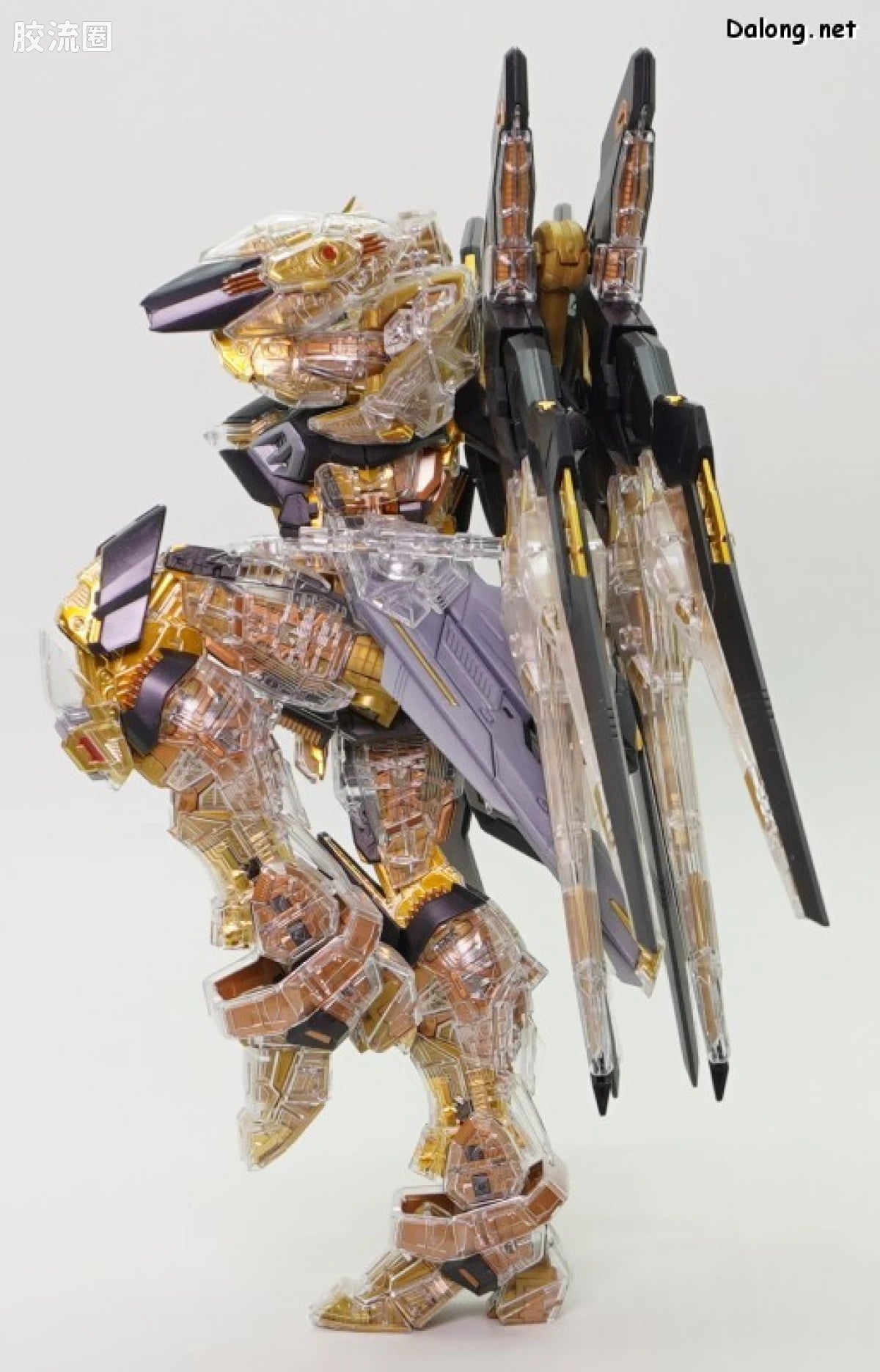 MGEX 1/100 Strike Freedom Gundam [Mechanical Clear]