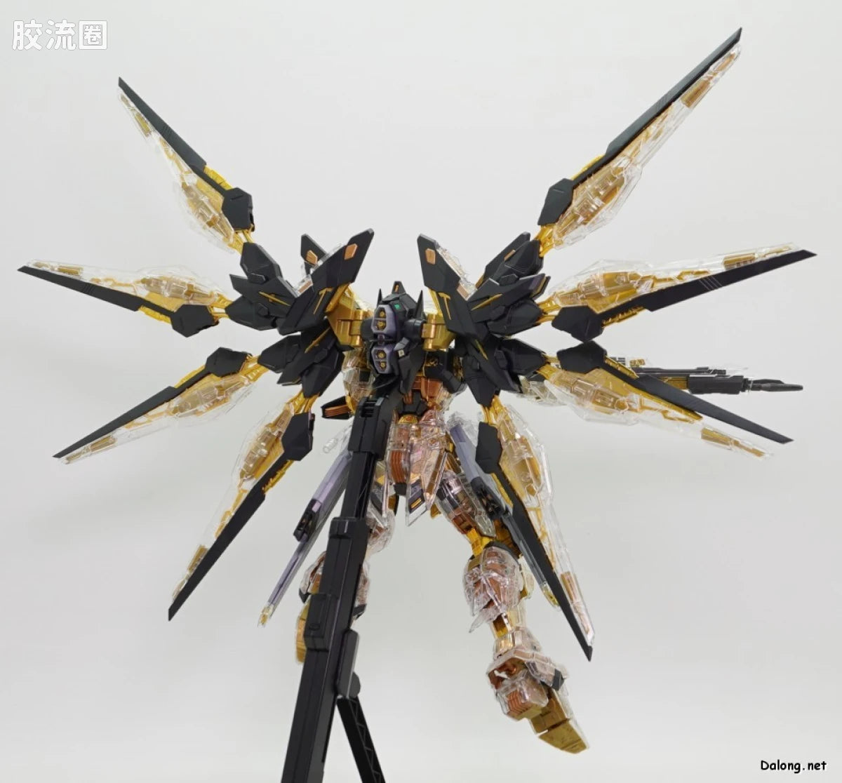 MGEX 1/100 Strike Freedom Gundam [Mechanical Clear]