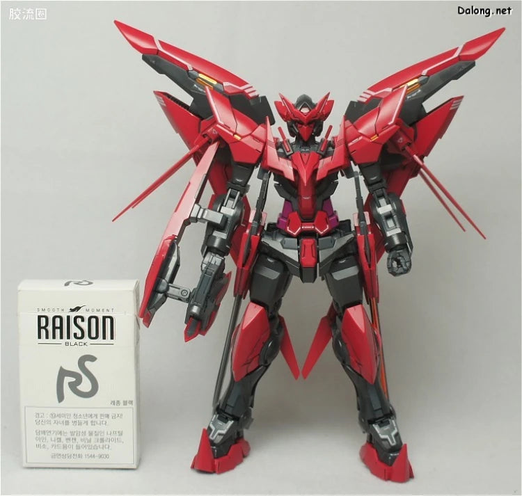 Bandai MG 1/100 PPGN-001 Gundam Exia Dark Matter