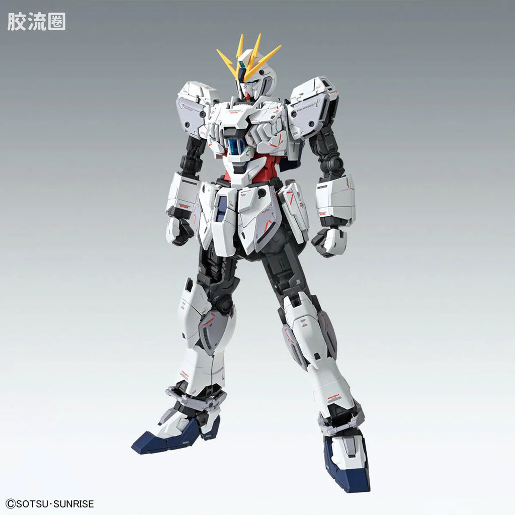 MG 1/100 Narrative Gundam C-Packs Ver.Ka