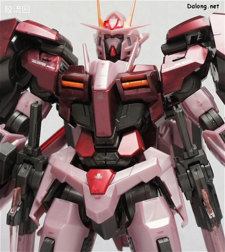 P-Bandai MG 1/100 Trans-Am Raiser