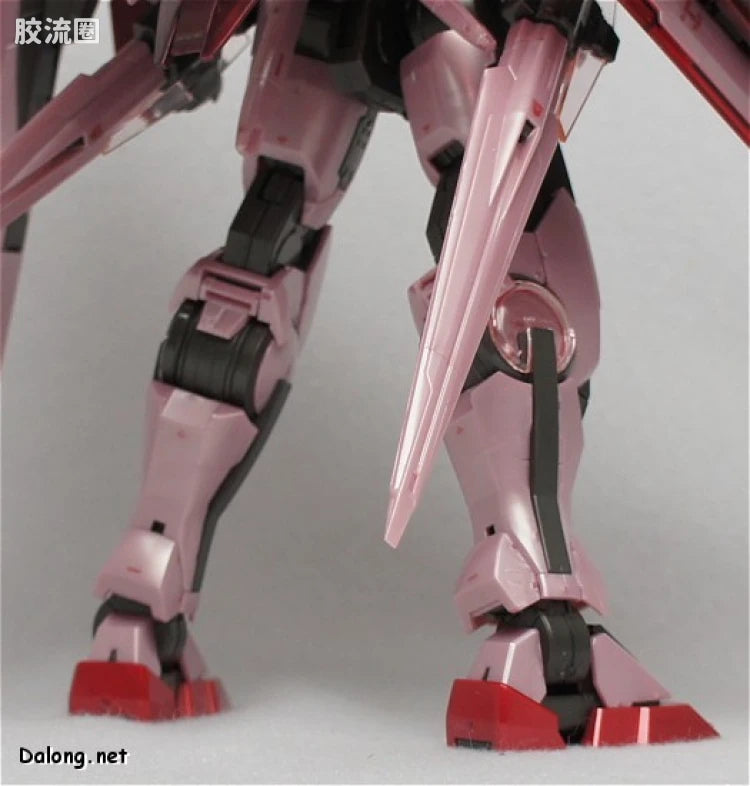 P-Bandai MG 1/100 Trans-Am Raiser