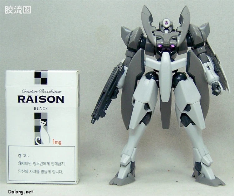 HG 00 1/144 18 GN-X