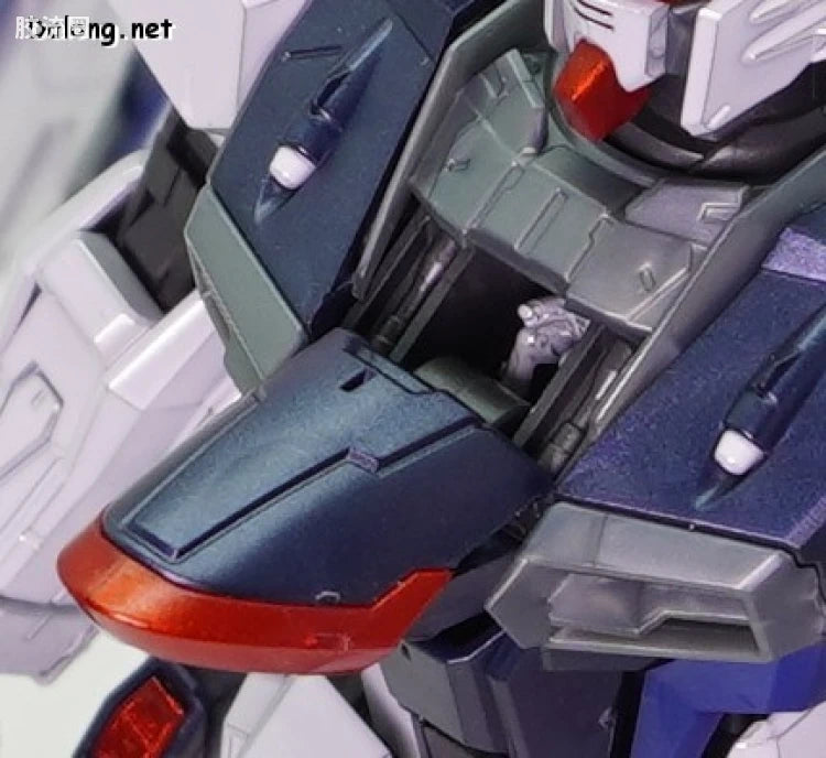 P-Bandai MG 1/100 Freedom Gundam Ver.2.0 Full Burst Mode (Special Coating Ver.)