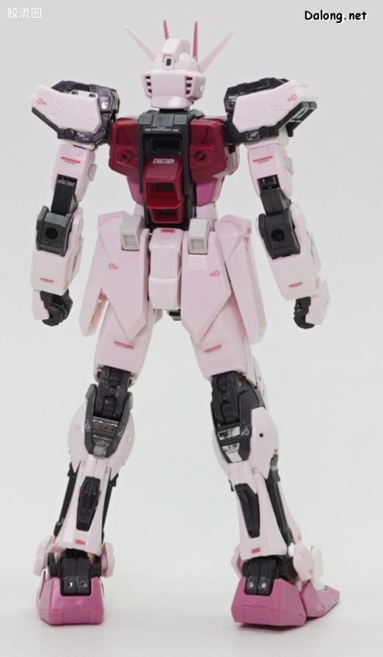 P-Bandai RG 1/144 Strike Rouge + HG 1/144 I.W.S.P.