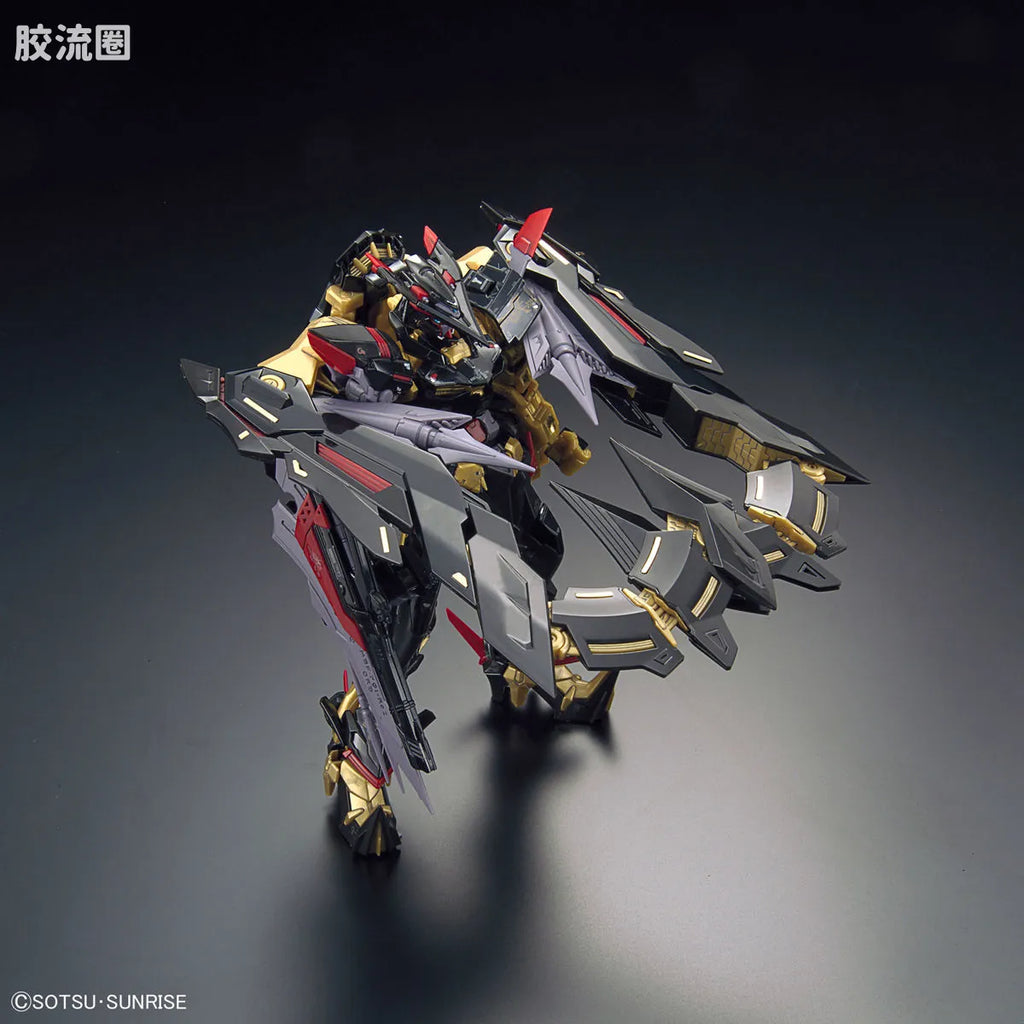 Bandai RG 1/144 MBF-P01-Re2 Gundam Astray Gold Frame Amatsu Mina