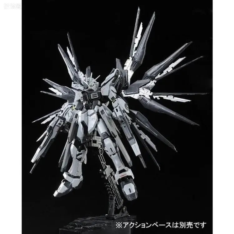 P-Bandai RG 1/144 ZGMF-X20A Strike Freedom Gundam Deactive Mode