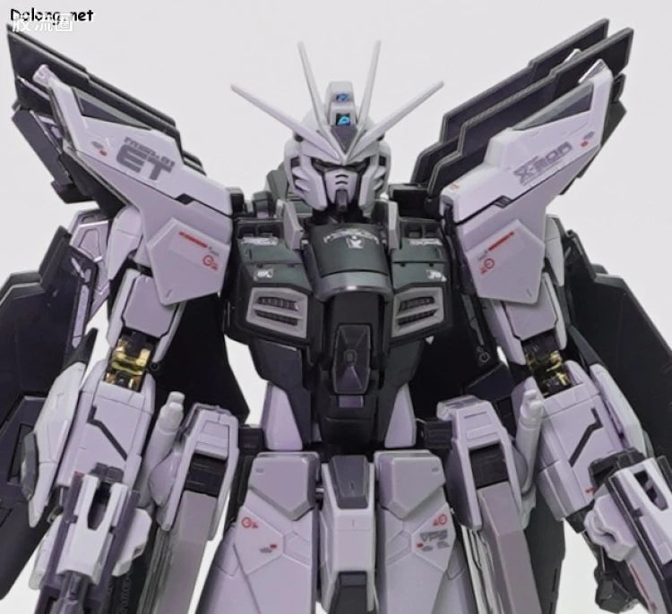 P-Bandai RG 1/144 ZGMF-X20A Strike Freedom Gundam Deactive Mode