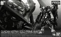 P-Bandai RG 1/144 MBF-P01-Re Gundam Astray Gold Frame Amatsu