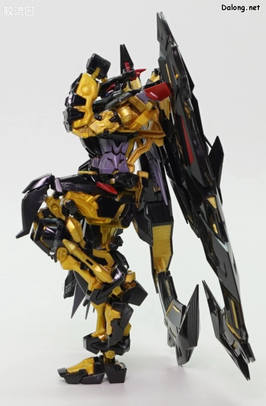 P-Bandai RG 1/144 MBF-P01-Re Gundam Astray Gold Frame Amatsu