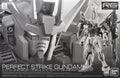 P-Bandai RG 1/144 Perfect Strike Gundam