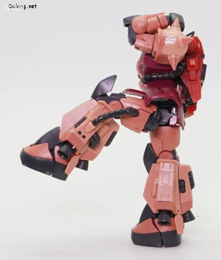 P-Bandai RG 1/144 High Mobility Type Zaku II (Team Monstre Custom)