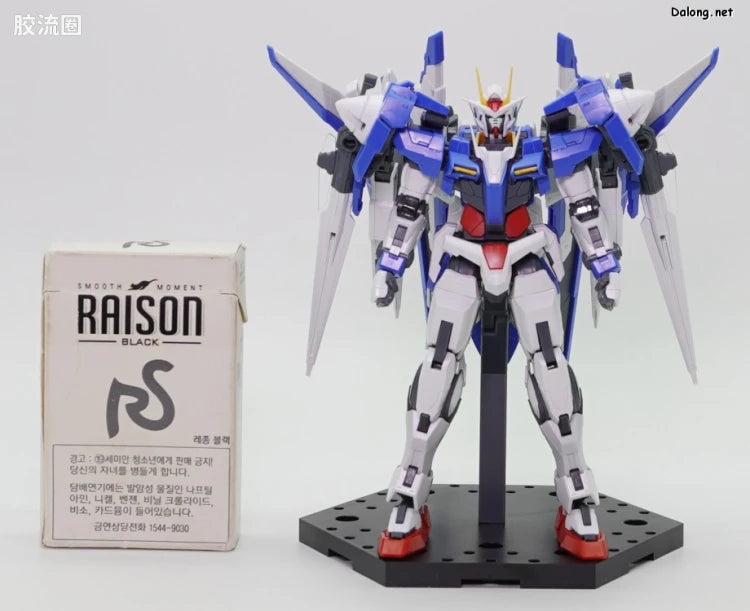 RG 1/144 00 XN Raiser