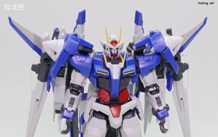 RG 1/144 00 XN Raiser