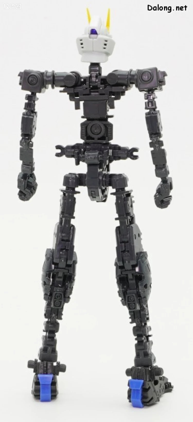 P-Bandai RG 1/144 ZGMF-X10A Freedom Gundam Ver.GCP