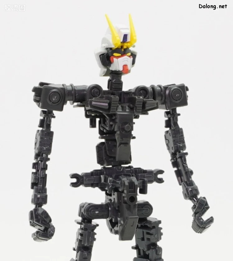 P-Bandai RG 1/144 ZGMF-X10A Freedom Gundam Ver.GCP