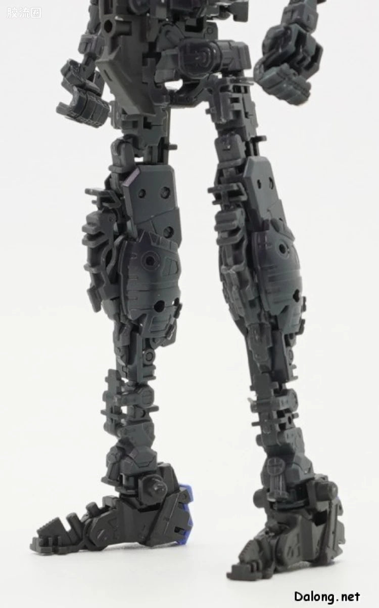 P-Bandai RG 1/144 ZGMF-X10A Freedom Gundam Ver.GCP