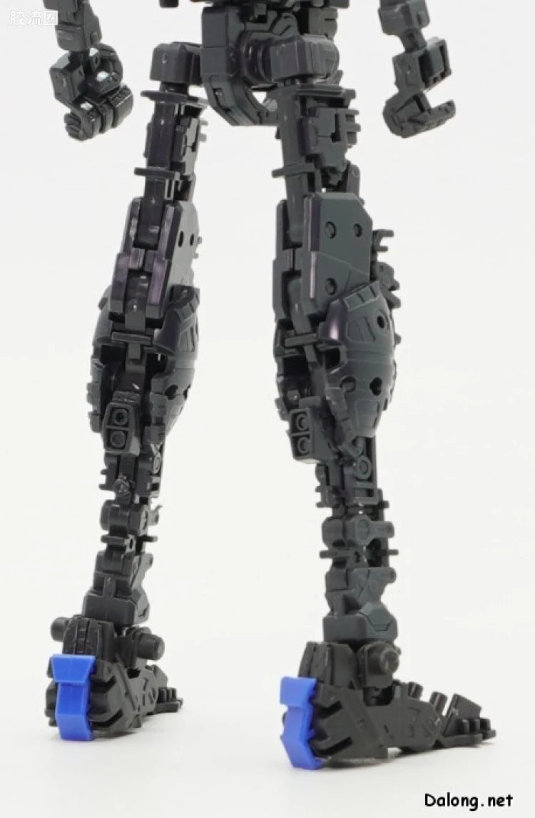 P-Bandai RG 1/144 ZGMF-X10A Freedom Gundam Ver.GCP