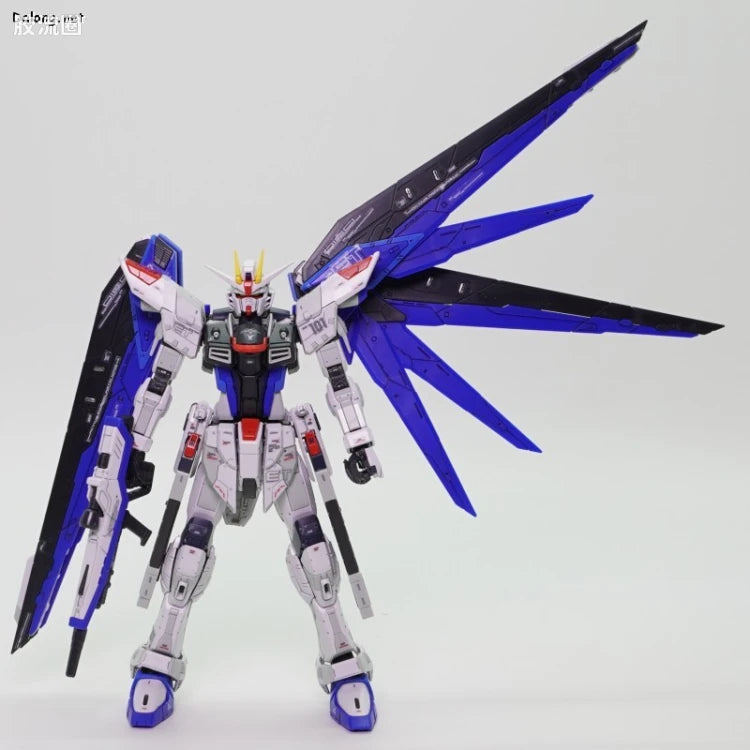 P-Bandai RG 1/144 ZGMF-X10A Freedom Gundam Ver.GCP