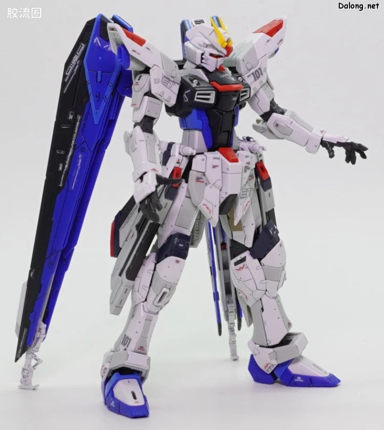 P-Bandai RG 1/144 ZGMF-X10A Freedom Gundam Ver.GCP