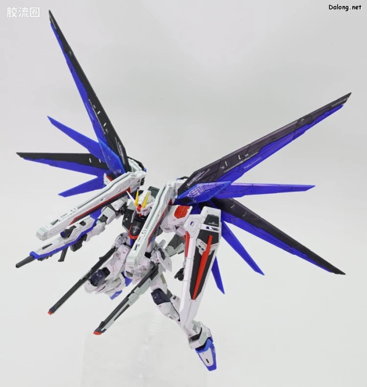 P-Bandai RG 1/144 ZGMF-X10A Freedom Gundam Ver.GCP