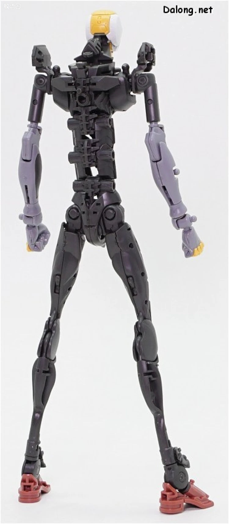 RG 1/144 Evangelion Proto Type-00