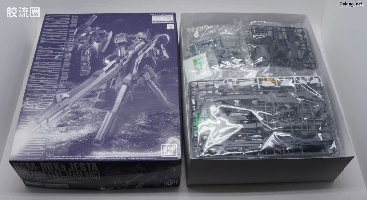 P-Bandai MG 1/100 Jesta (Shezarr Type, Team B&C)