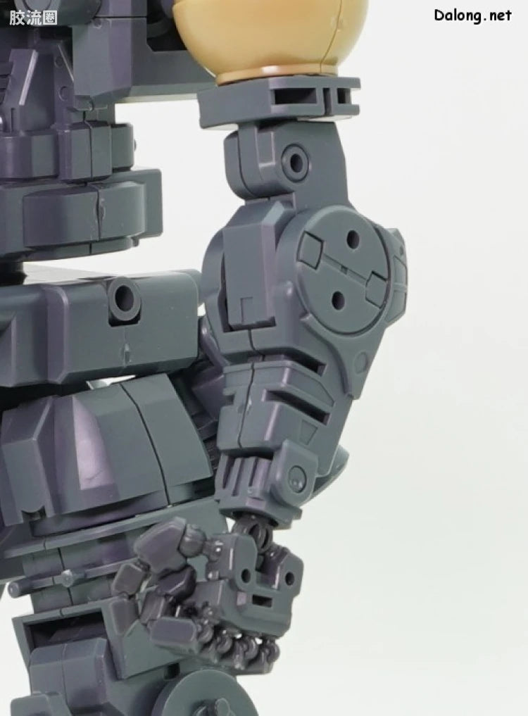 P-Bandai MG 1/100 MS-09G Dwadge