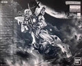 MG 1/100 Gundam Astray Out Frame D