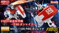MG 1/100 F80 Gunraid
