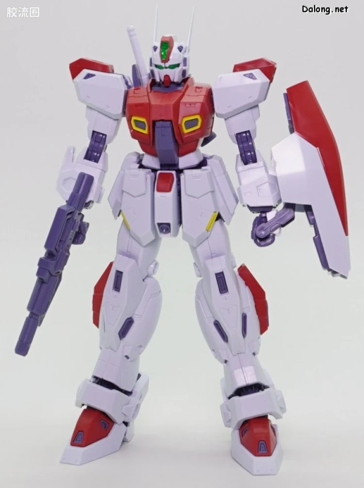 MG 1/100 F80 Gunraid