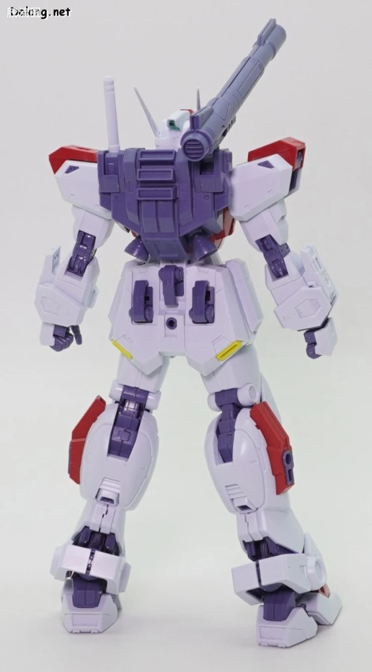 MG 1/100 F80 Gunraid
