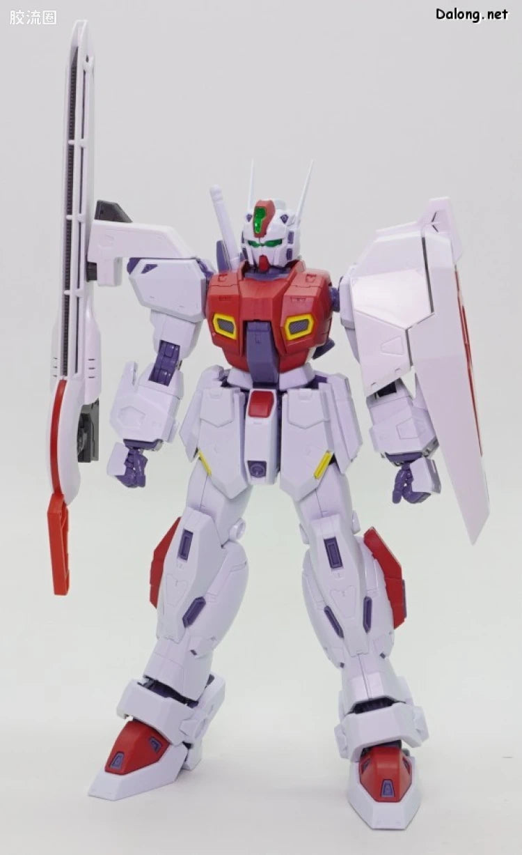 MG 1/100 F80 Gunraid