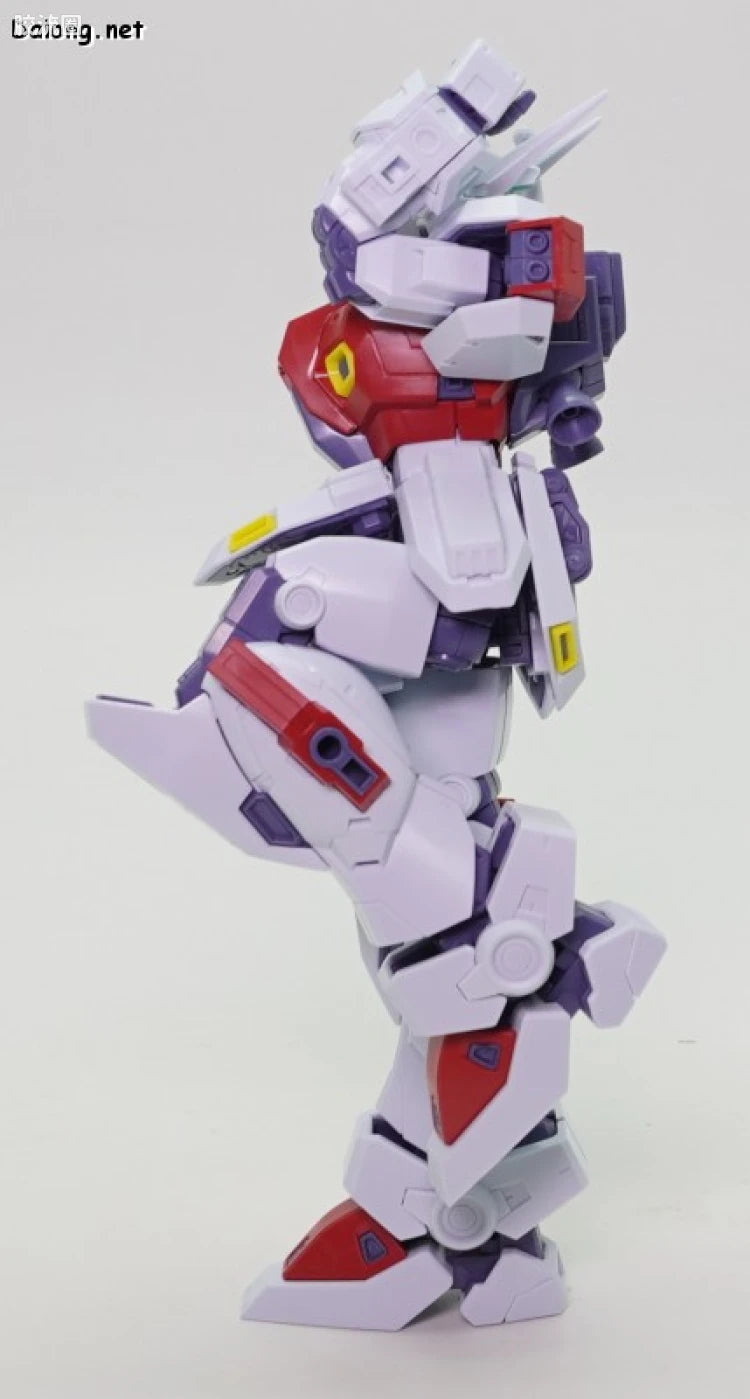 MG 1/100 F80 Gunraid