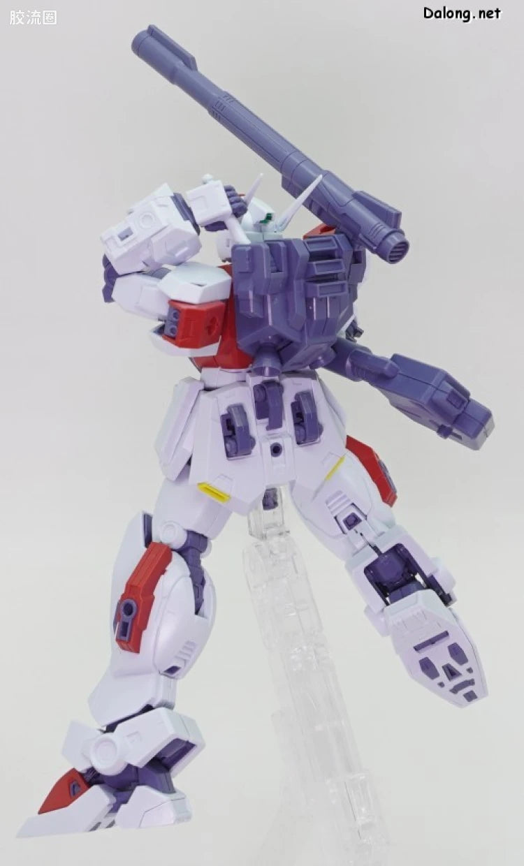 MG 1/100 F80 Gunraid